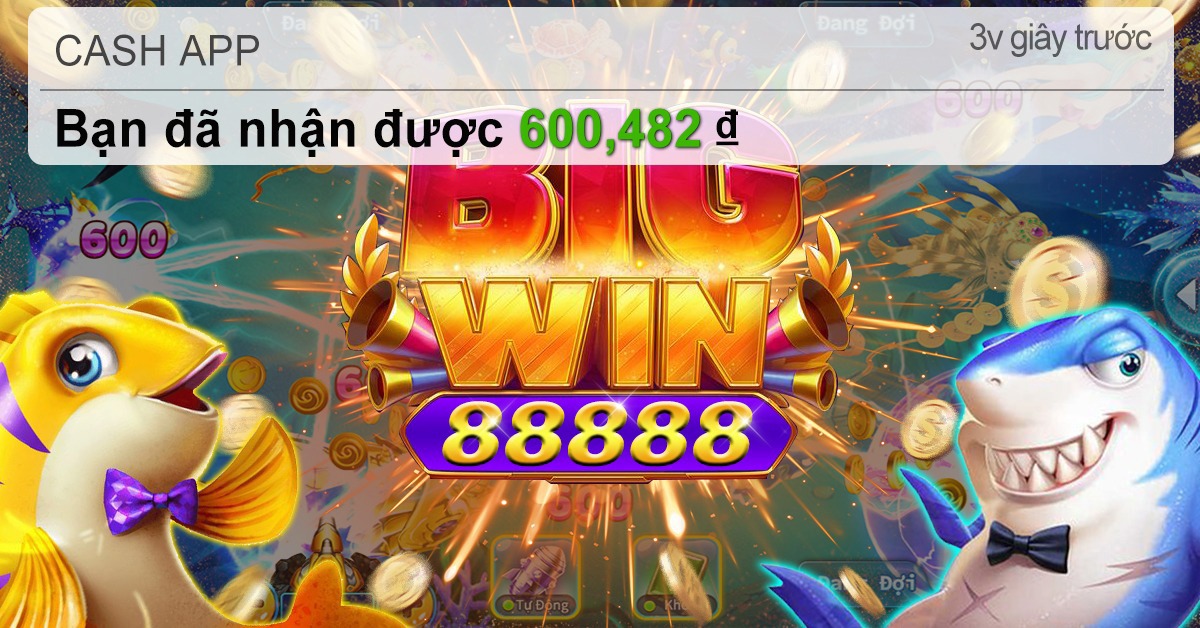 hit23